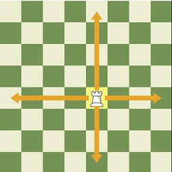 Rook on a chessboard